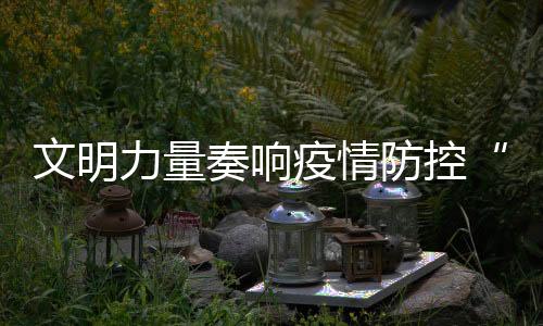文明力量奏响疫情防控“暖心曲”:坪地志愿者在“疫”线中闪耀